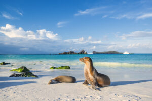 Galapagos Travel Guide, What to Expect from This Beautiful Country  